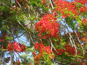 img_06091
