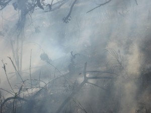 Fire on the resort!