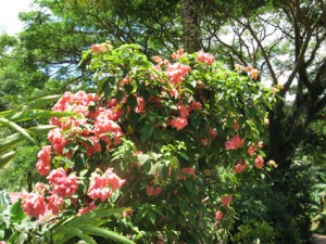 img_24311