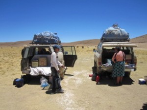 Stopping for Lunch En Route in a Field of Llamas