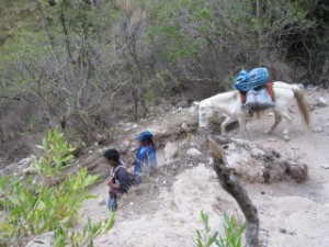 The locals use the path, too