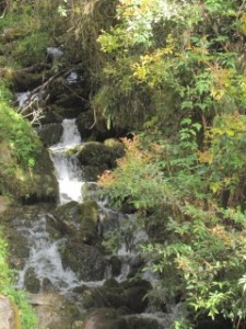 Running Water Can Usually be Seen and Heard