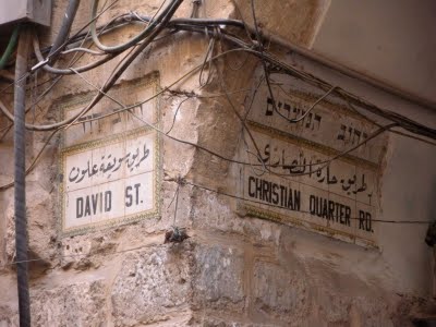 DSCN7914