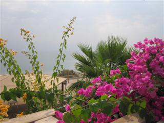 We finally find the Dead Sea and it's beautiful