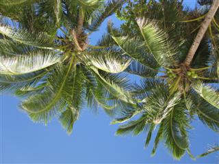 My view while suntanning