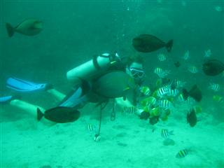 This isn't me, but someone else who did the same dive
